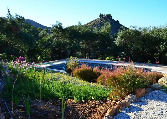 Valley View